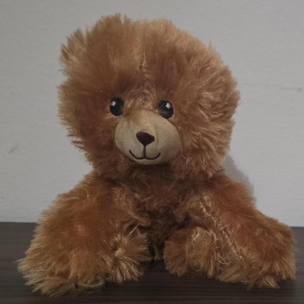 Brown teddy bear plush toy #teddybear #plush